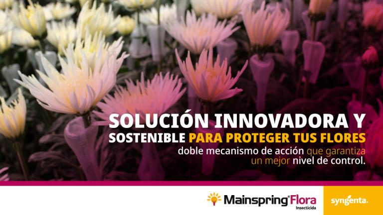 Mainspring Flora