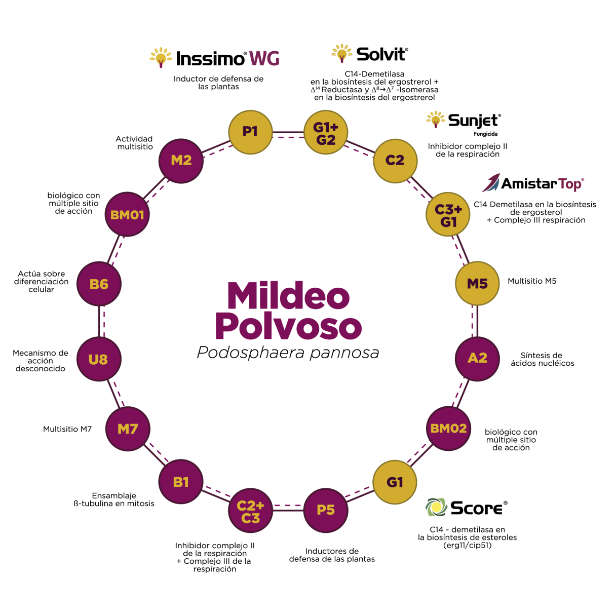 Mildeo Polvoso INSSIMO