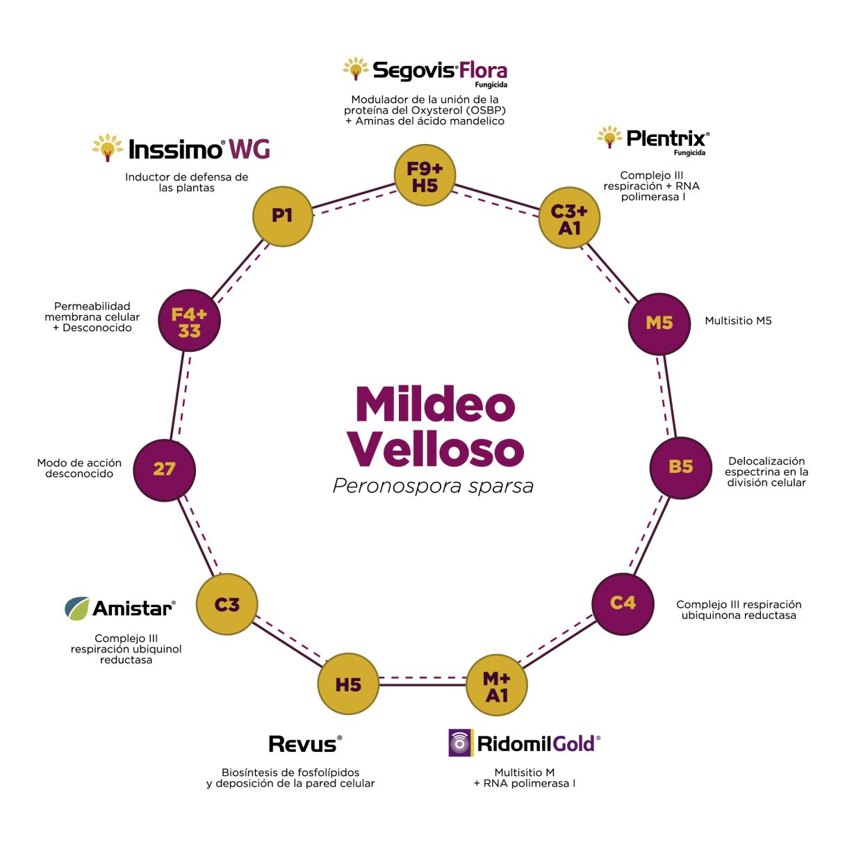 Mildeo Velloso INSSIMO